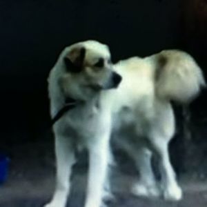 Meet your Posher, Ignacio